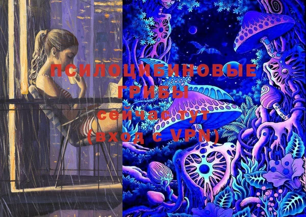 дживик Лихославль