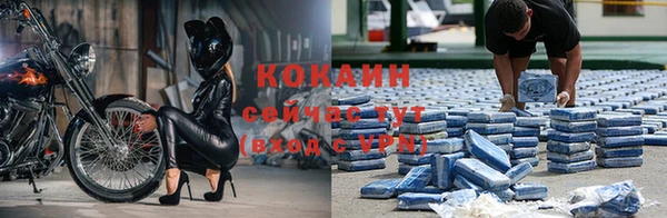 дживик Лихославль