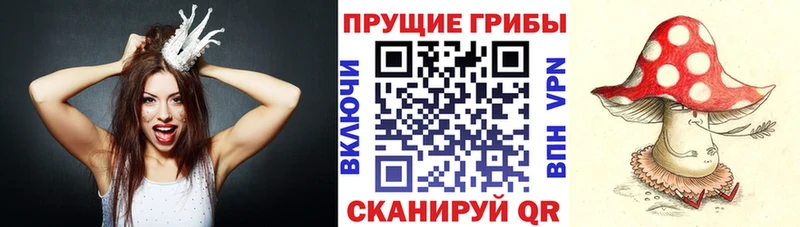 Купить  Апрелевка  Псилоцибиновые грибы ЛСД 
